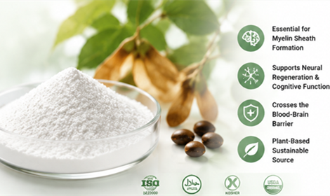 What Is nervonic acid powder Used For in Health Supplements?